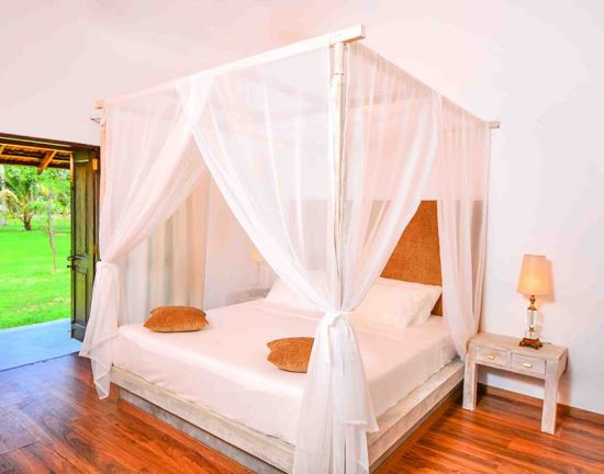 karanda-new karanda-new